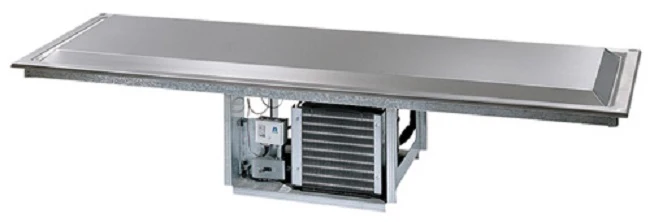 Clearance Delfield N8245P Stainless Steel Elevated Drop-In Frost Top with Built-In Compressor 45" - 115v