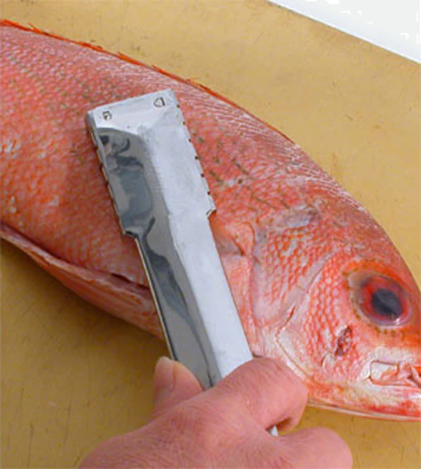 Town 48607 Stainless Steel Fish Scaler 9" - Image 2